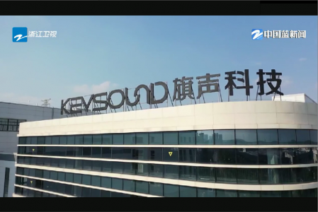 浙江衛(wèi)視 中國藍觀察-三季度經(jīng)濟調(diào)研行之旗聲科技專訪